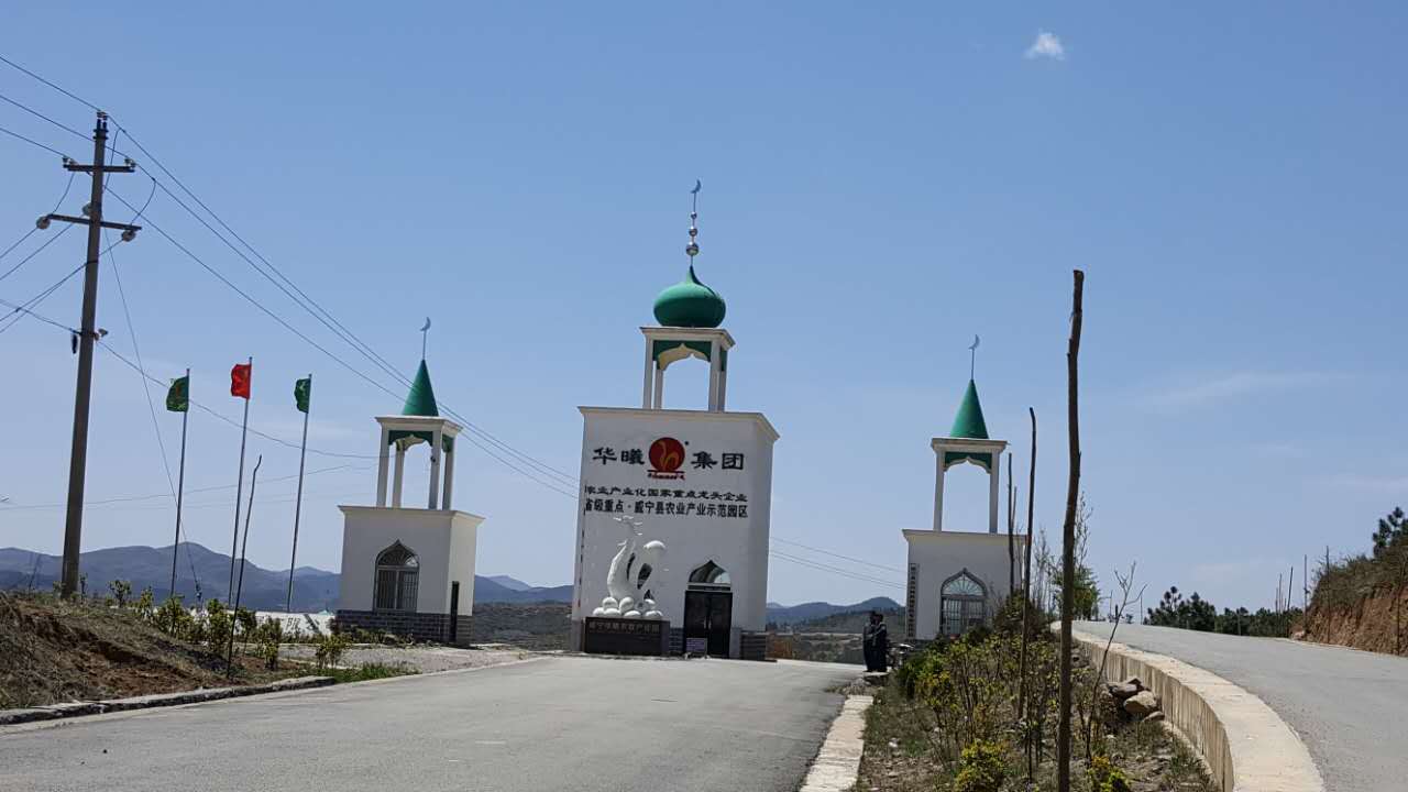 �����A���B(y��ng)�u��